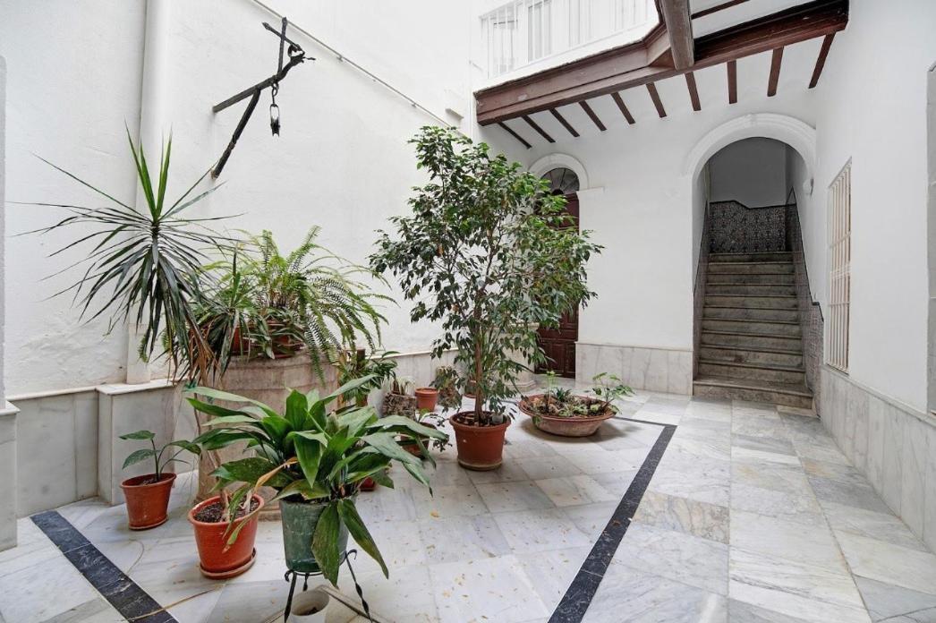 Precioso Alojamiento En Cadiz Junto Al Mercado Ngoại thất bức ảnh